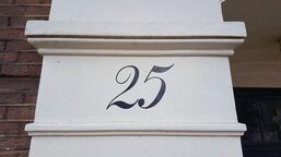 25